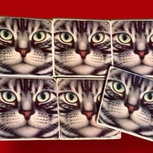 Six gorgeous cat coasters ceramic